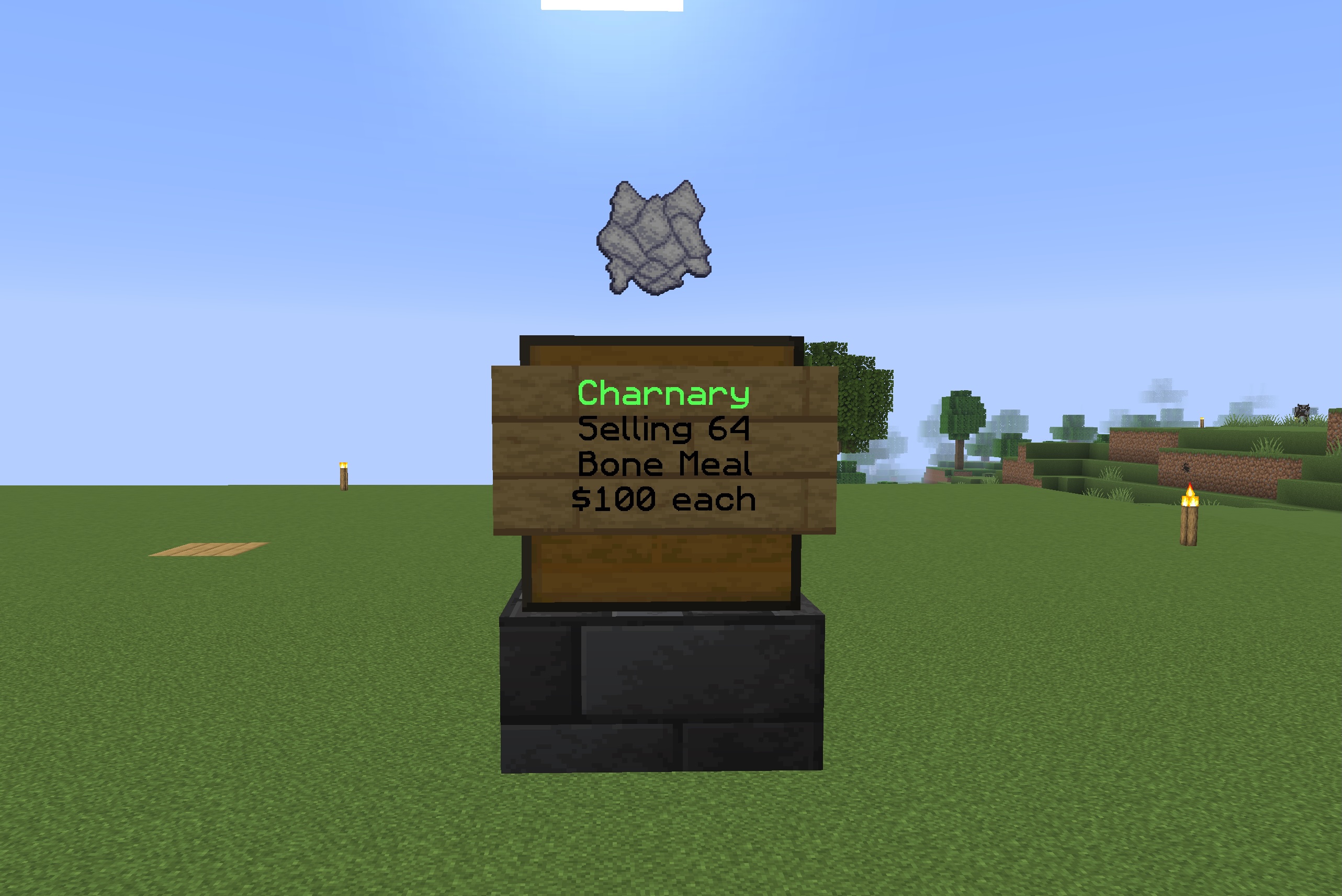 Cover for Introducing: Chest Shops