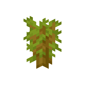 Most placed icon