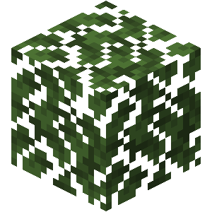 Most broken icon