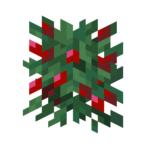 Most placed icon